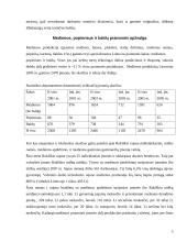 Medžio apdirbimo pramonė 5 puslapis