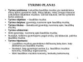 Liaudiškos muzikos klausymasis 2 puslapis