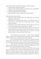 Marketingo tyrimas: prekinis ženklas "Dove" 13 puslapis