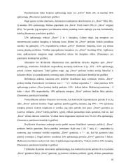 Marketingo tyrimas: prekinis ženklas "Dove" 18 puslapis