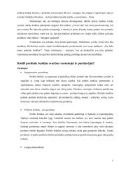 Marketingo tyrimas: prekinis ženklas "Dove" 5 puslapis