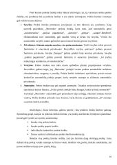 Marketingo tyrimas: prekinis ženklas "Dove" 10 puslapis