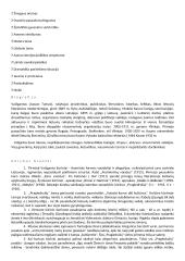 Juozas Tumas-Vaižgantas (Modernizmas, neoromantizmas XIX-XX a.) 2 puslapis