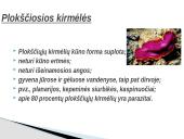 Kirmėlė – tai bestuburis bekojis gyvūnas 3 puslapis