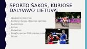 Lietuva olimpinėse žaidynėse 4 puslapis