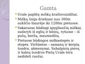 Uralo kalnai 7 puslapis