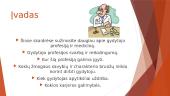 Gydytojo profesija ir medicina 2 puslapis
