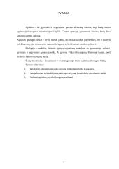 Gimtojo miesto (rajono) aplinkos ekologinės būklės įvertinimas: Pajevonio kaimas 2 puslapis