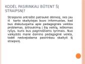 Pedagogų organizacinio įsipareigojimo, pasitenkinimo darbu ir įsitraukimo į darbą sąsajos 3 puslapis