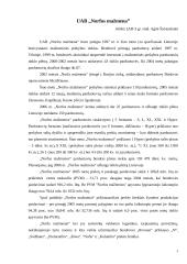 Įmonės strategija: UAB "Norfos mažmena"