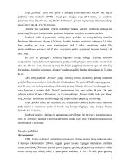 Įmonės strategija: UAB "Norfos mažmena" 3 puslapis