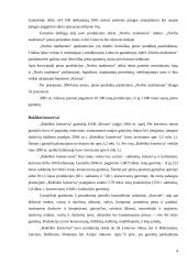 Įmonės strategija: UAB "Norfos mažmena" 4 puslapis
