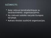 Lietuva ir tarptautinės organizacijos 2 puslapis