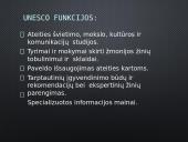 Lietuva ir tarptautinės organizacijos 11 puslapis