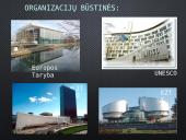 Lietuva ir tarptautinės organizacijos 12 puslapis