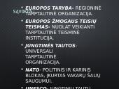 Lietuva ir tarptautinės organizacijos 3 puslapis