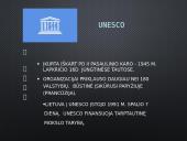 Lietuva ir tarptautinės organizacijos 10 puslapis