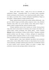 Rekreacija, jos reikšmė ir būtinybė žmogui 2 puslapis