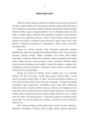 Rekreacija, jos reikšmė ir būtinybė žmogui 3 puslapis