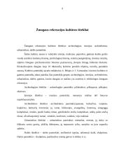 Rekreacija, jos reikšmė ir būtinybė žmogui 8 puslapis