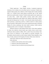 Rūkymas jaunimo tarpe 2 puslapis