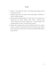 Rūkymas jaunimo tarpe 5 puslapis