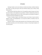 Suomių savybės 12 puslapis