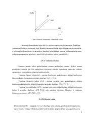 Trumpas, ilgas ir labai ilgas laikotarpis ekonomikoje 6 puslapis
