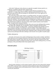 Verslo planas: šlaitiniai stogai UAB "Roof" 16 puslapis