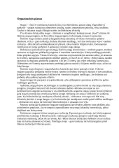 Verslo planas: šlaitiniai stogai UAB "Roof" 9 puslapis