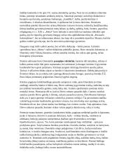 Kristijono Donelaičio kūryba 2 puslapis