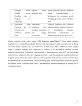Verslo rizika ir jos mažinimo galimybės: žvejyba ir sugautos žuvies didmeninė prekyba 14 puslapis