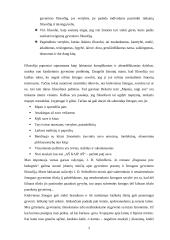 Žmogaus gyvenimo filosofija ir vertybės 2 puslapis