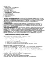 Administravimo pagrindai 2 puslapis