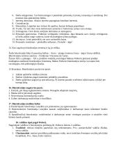 Administravimo pagrindai 4 puslapis