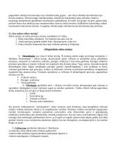 Administravimo pagrindai 6 puslapis