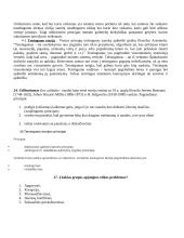 Administravimo pagrindai 7 puslapis