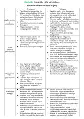 Energetikos rūšių palyginimas. Privalumai ir trūkumai 