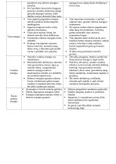 Energetikos rūšių palyginimas. Privalumai ir trūkumai  2 puslapis