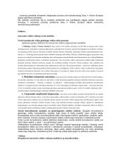 Inovacijų ir inovacinės veiklos samprata 6 puslapis