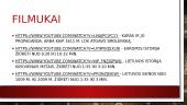 LDK karai 15 puslapis