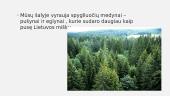 Miškai – žaliasis šalies rūbas 4 puslapis