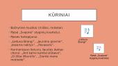 Pirmieji muzikos profesionalai: J.Naujalis, Č.Sasnauskas, S.Šimkus, M.Petraukas 5 puslapis