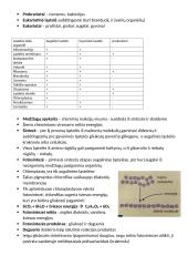 Riebalai angliavandeniai baltymai fermentai 3 puslapis