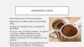 Kava pristatymas 6 puslapis