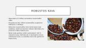 Kava pristatymas 7 puslapis