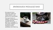 Kava pristatymas 9 puslapis