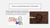 Kava pristatymas 10 puslapis