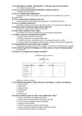 Vadybos testas ir atviri klausimai su atsakymais 2 puslapis