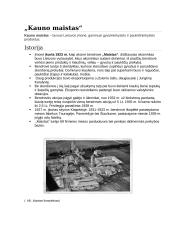 „Pieno centro“, „Lietūkio“, „Maisto“ akcinių bendrovių dominavimas 3 puslapis